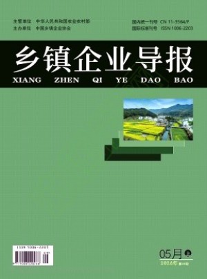 乡镇企业导报